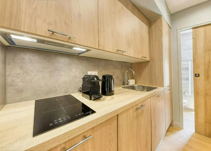 The Duplex Paris 公寓 巴涅奥莱