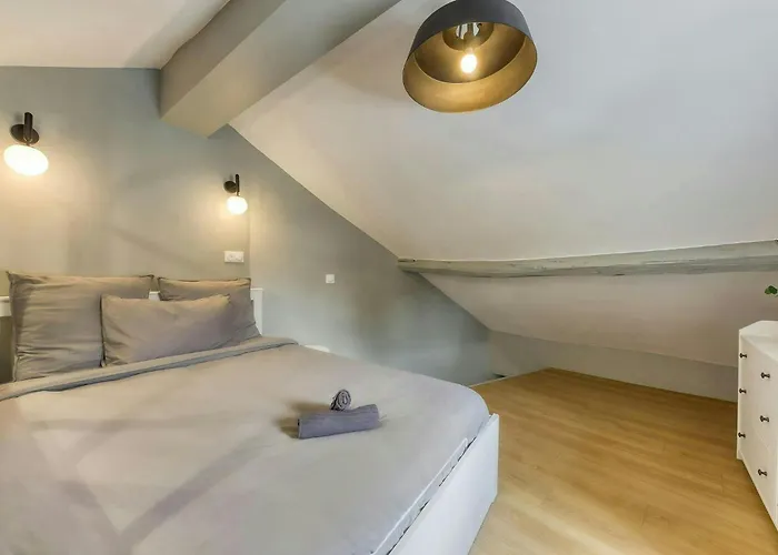 公寓 The Duplex Paris 巴涅奥莱