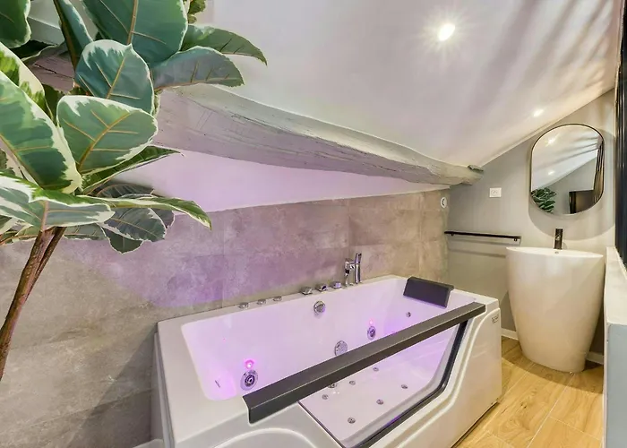 The Duplex Paris 公寓 巴涅奥莱